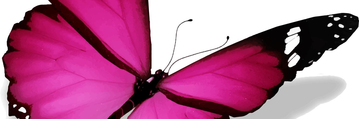 stelia8's profile banner image