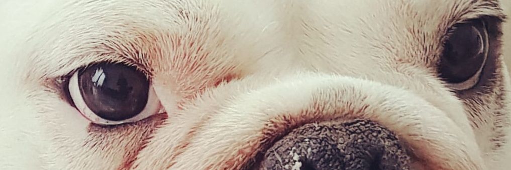 tinam57's profile banner image