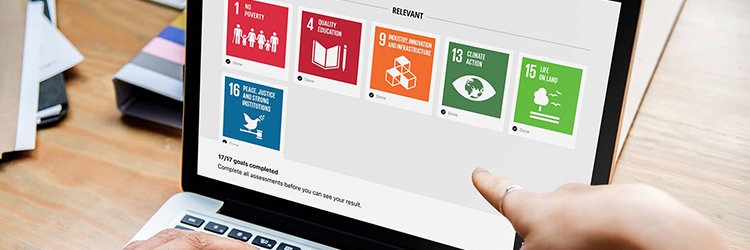 SDSN Northern Europe banner