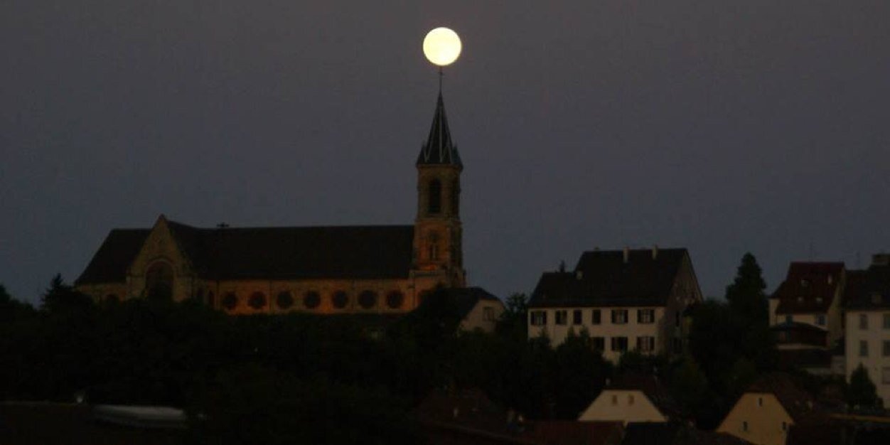 Nicolas JANDER banner