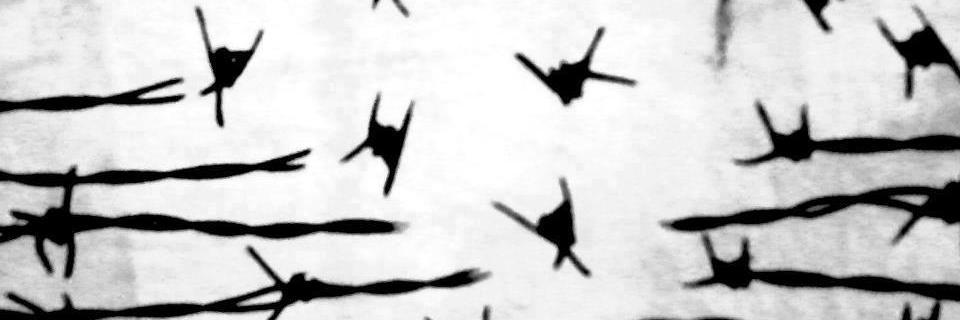Feracucar's profile banner image