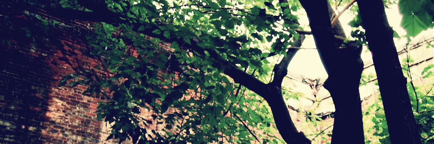 kashbrg's profile banner image