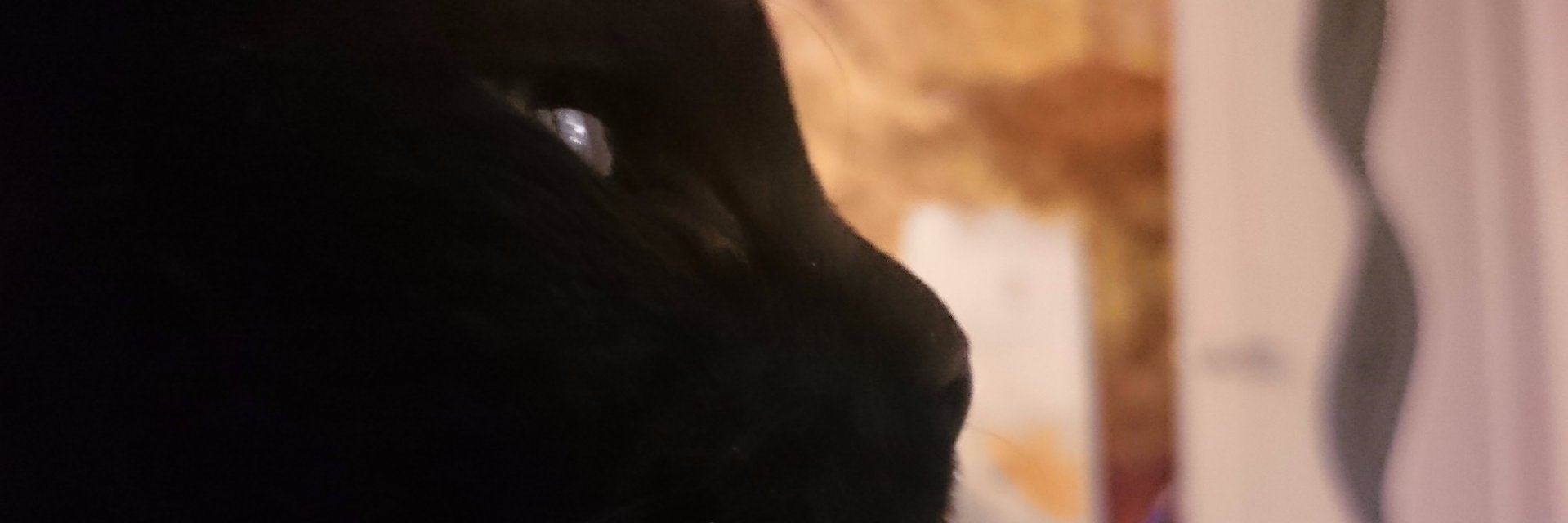 CyberBaphomet's profile banner image