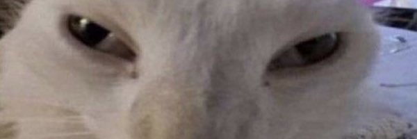 VT ARandomDeadDude banner