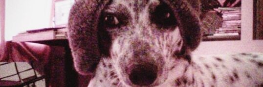 MaryAnneIC's profile banner image