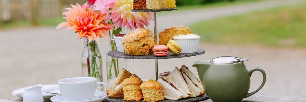 Canonteign Falls banner