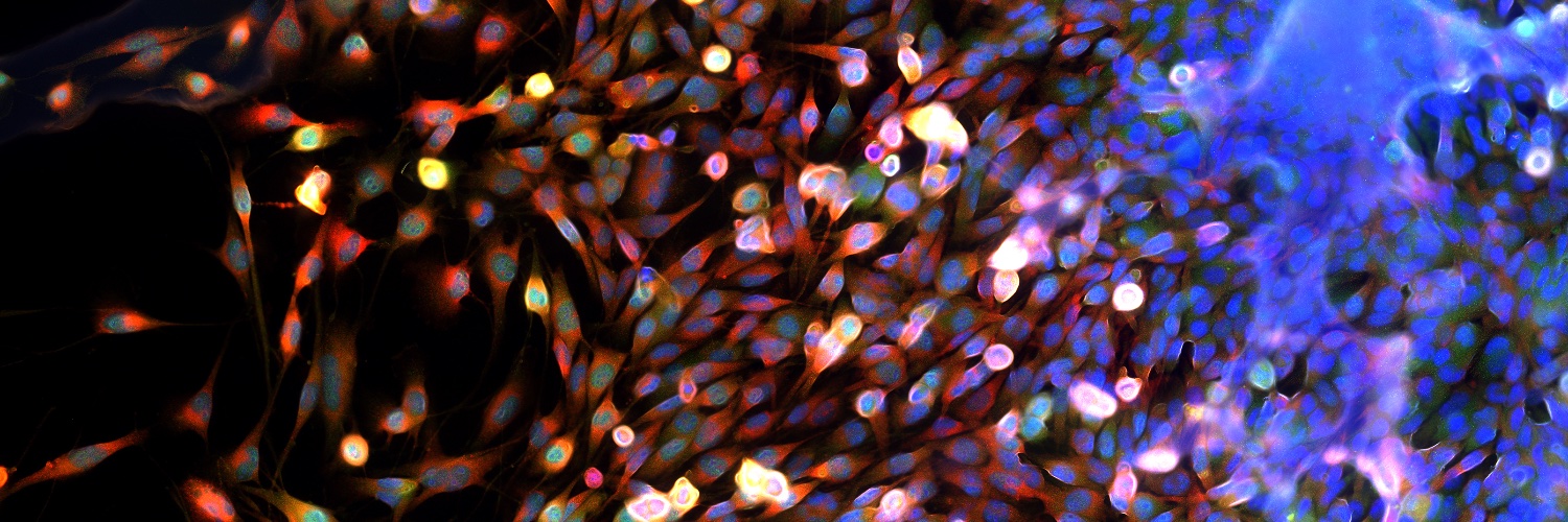 Neuro Central banner