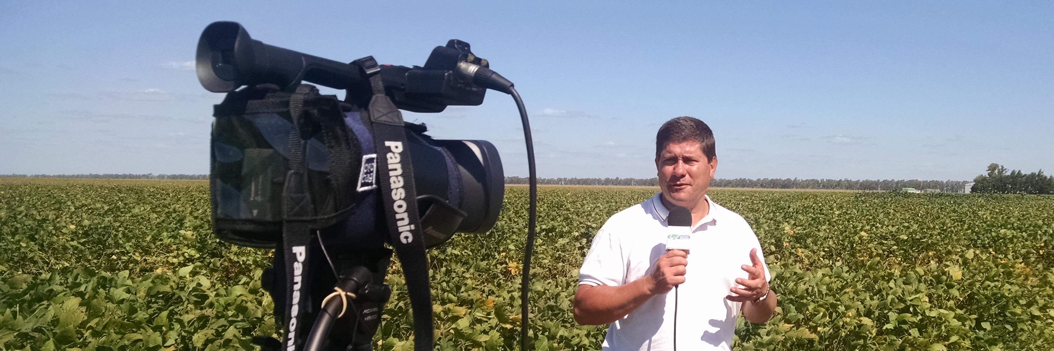 Campo Directo banner