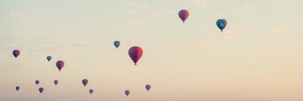 insjmir Profile Banner