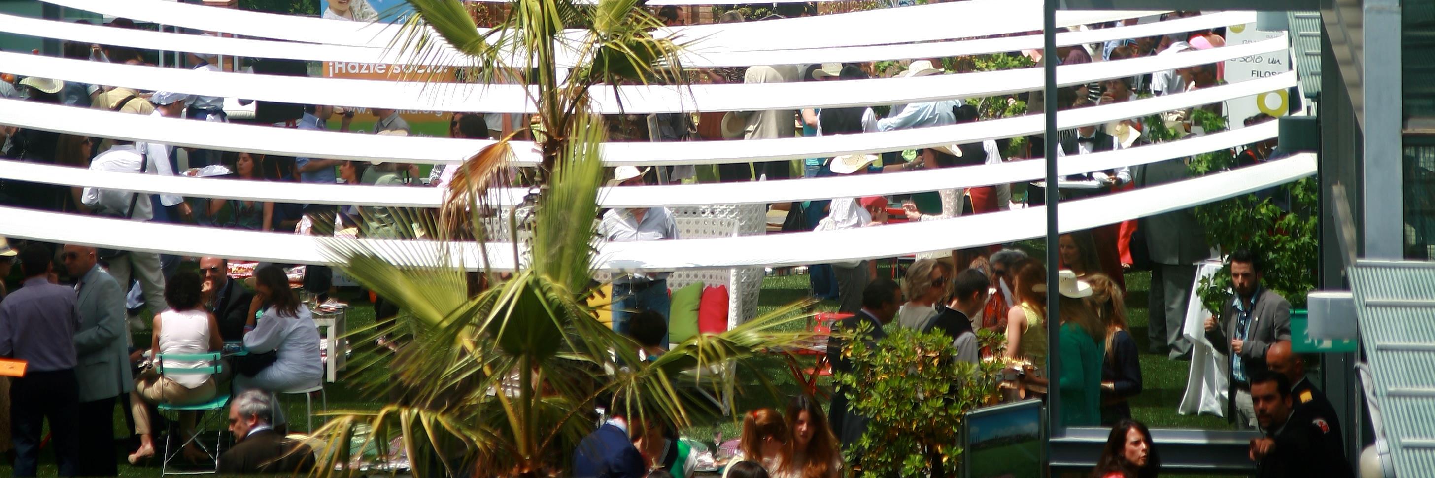 ANCentros's profile banner image