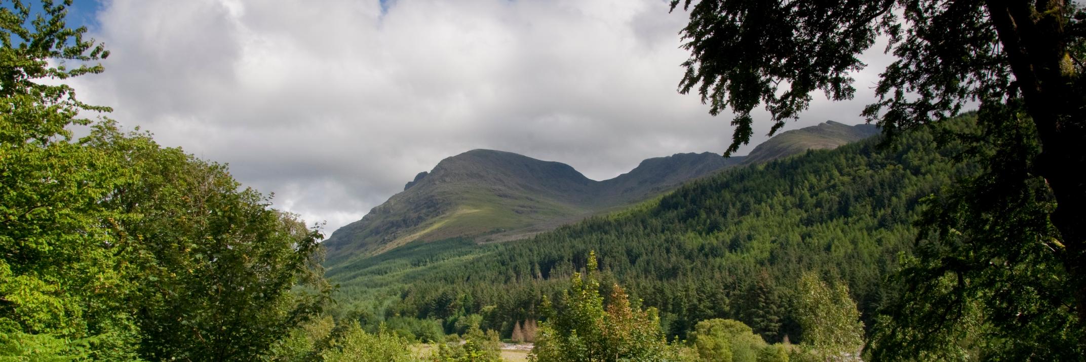 YHAEnnerdale's profile banner image