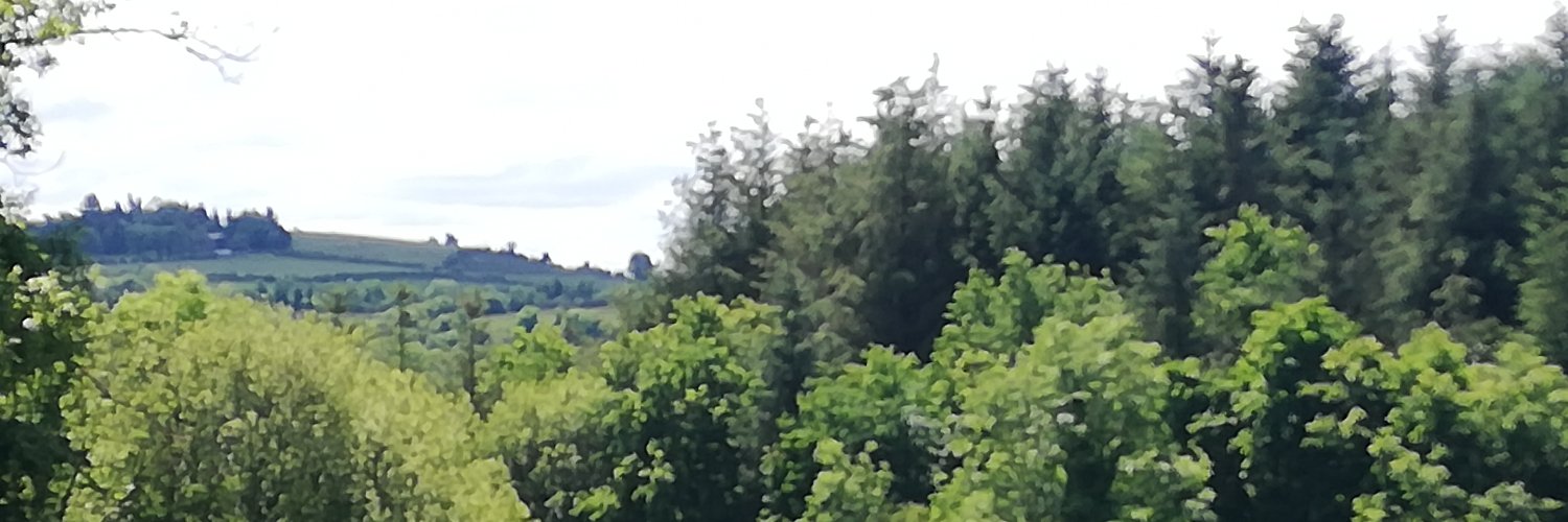 The Rural Policy Hub banner