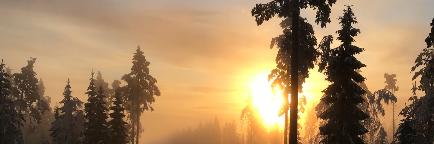 MagnusBond's profile banner image