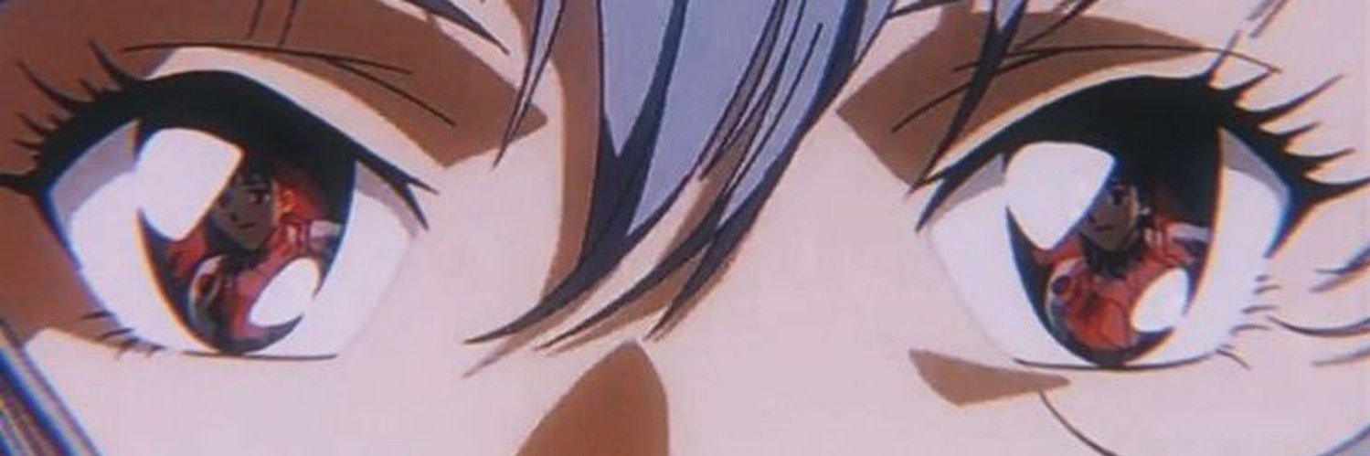 flvsu0's profile banner image