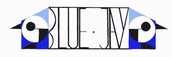 bluejaybrixton's profile banner image