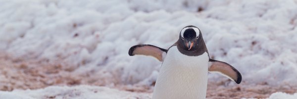 Andrew 🏳️‍🌈 Profile Banner