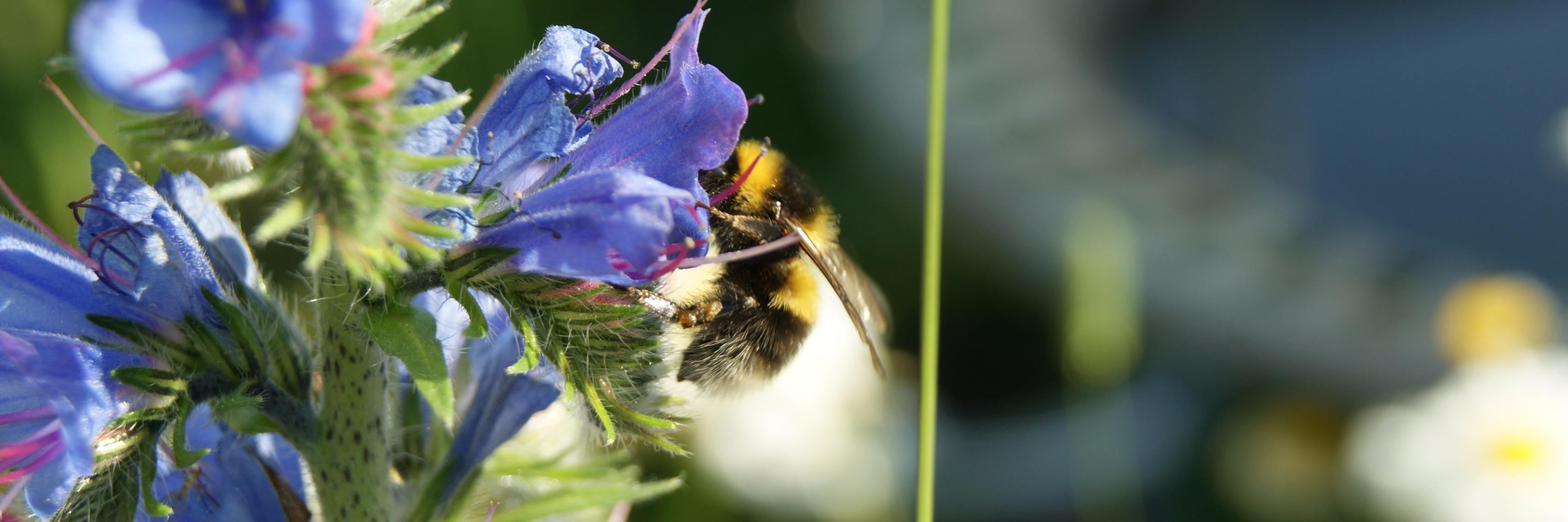 Saving_Nature's profile banner image