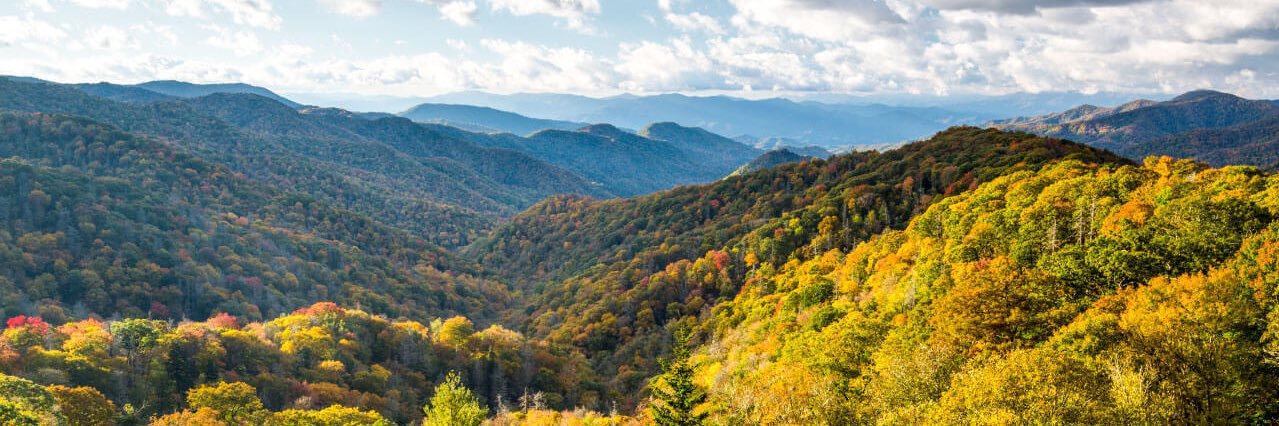 Greg Wilkerson banner