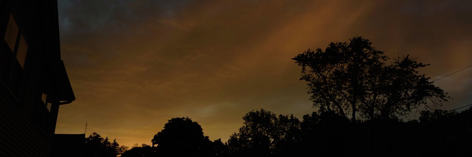 fretlessbase's profile banner image