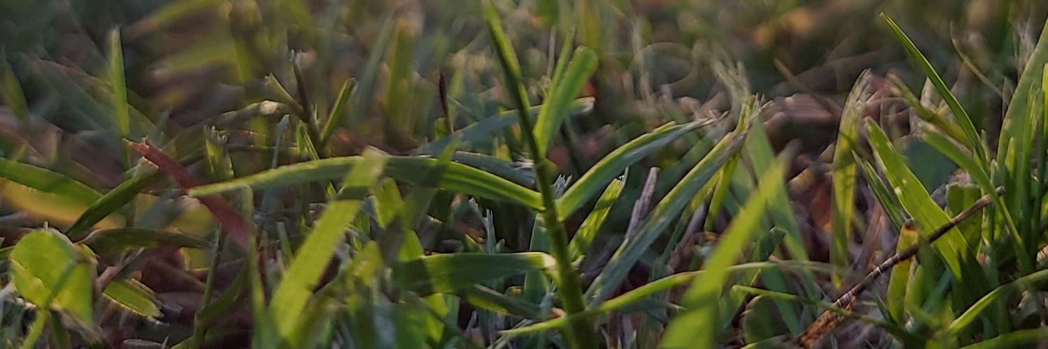 Faku_sv's profile banner image