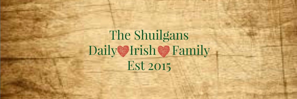 The Shuiligans banner