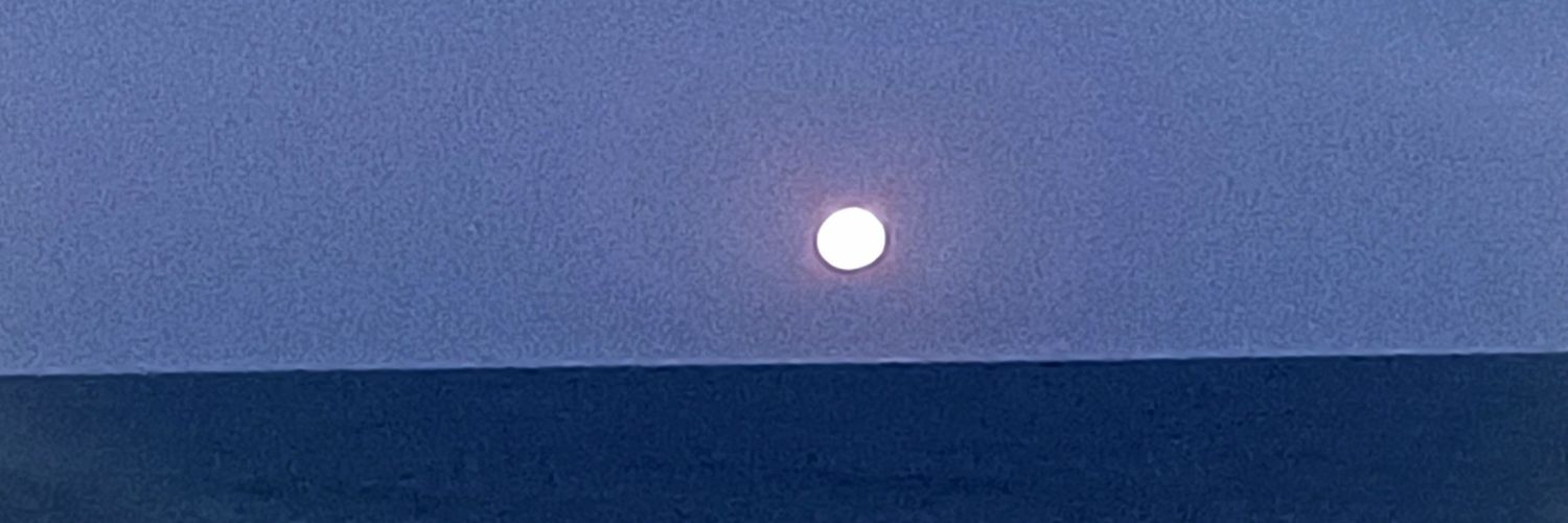 patcabrini's profile banner image