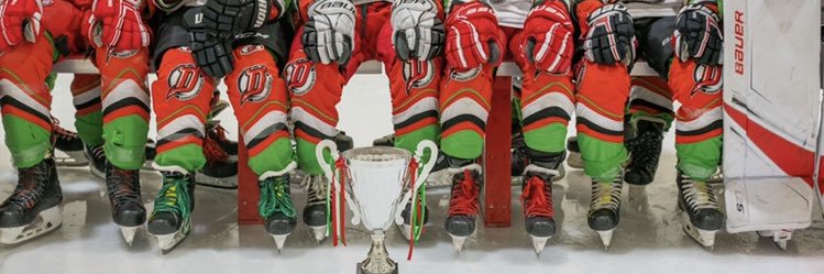 Cardiff Junior Devils banner