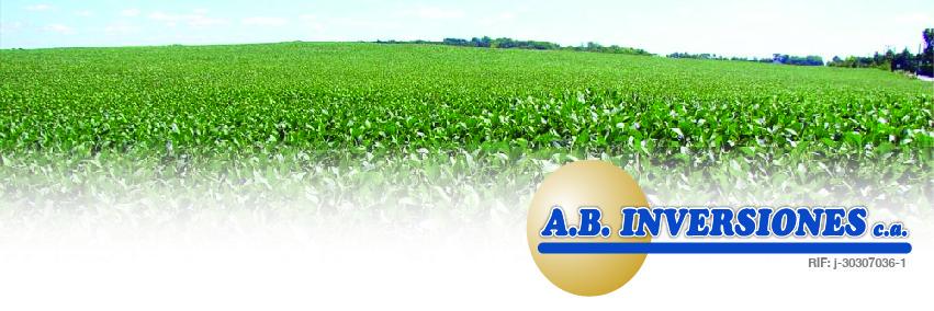 abinversiones's profile banner image