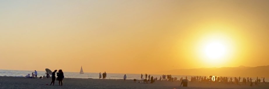 cait_fortier's profile banner image