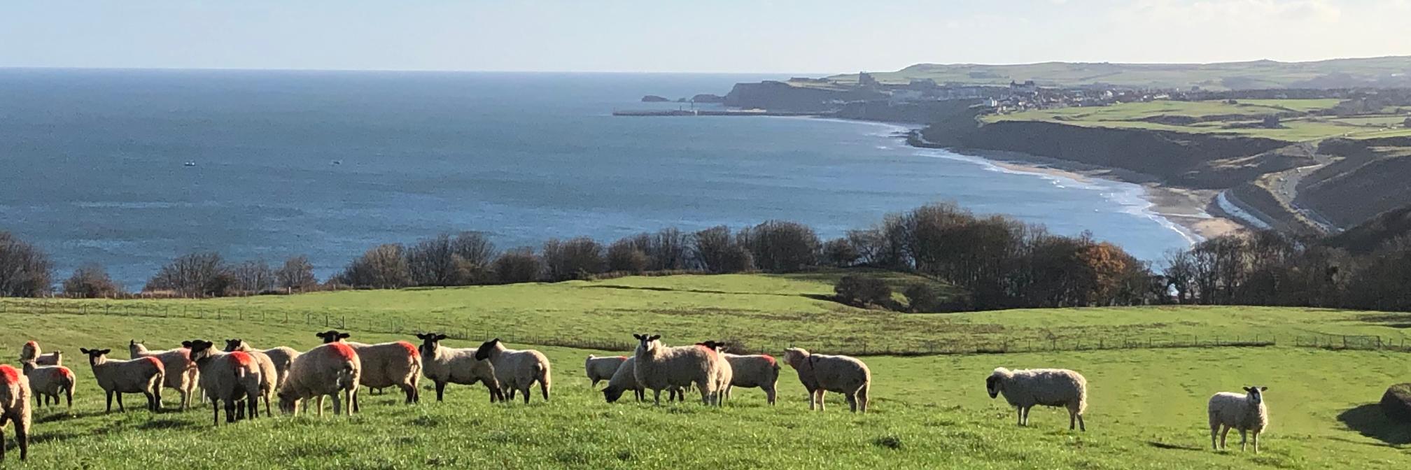 NFUWhitby's profile banner image