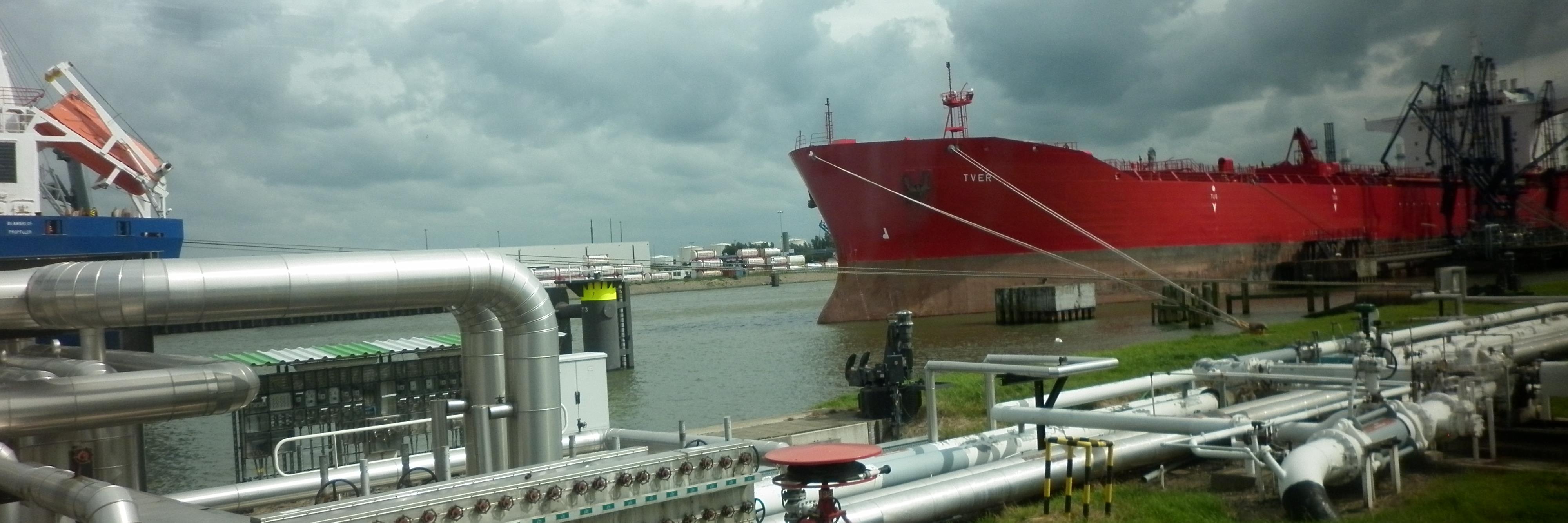 Irina Kustova banner