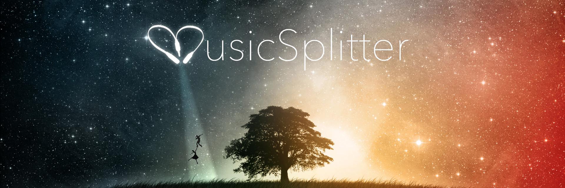 MusicSplitter's profile banner image