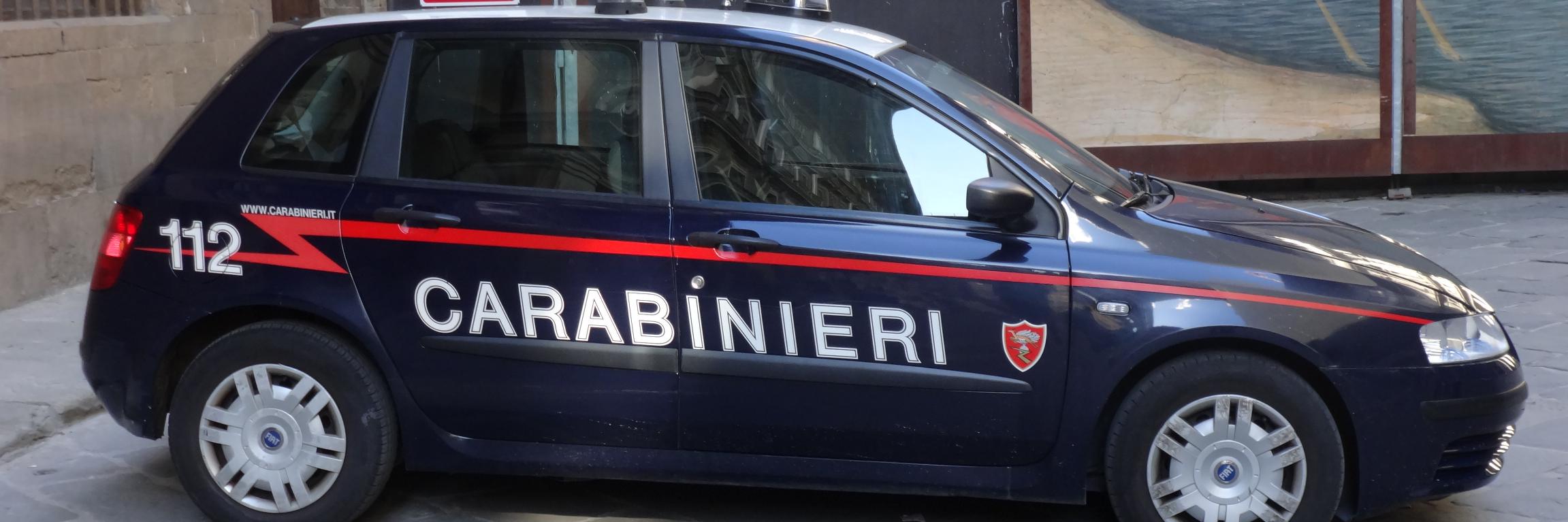 MCarbonare's profile banner image