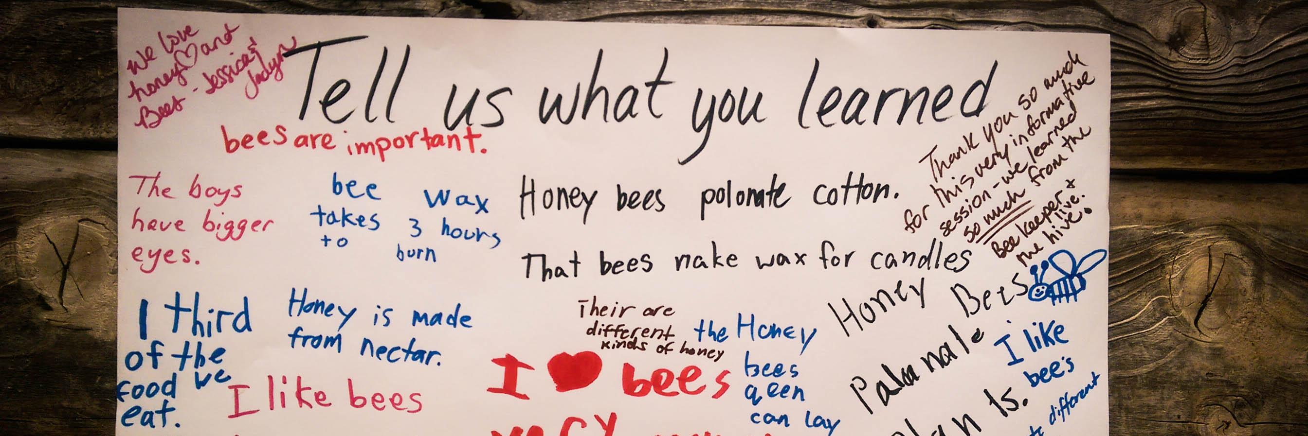 kidsandbees's profile banner image