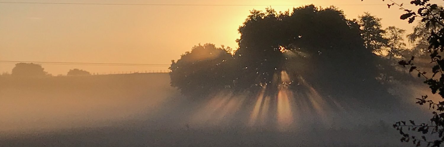 GabyBrandon's profile banner image