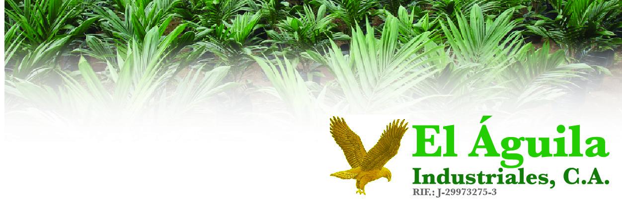 ELAGUILAIND's profile banner image