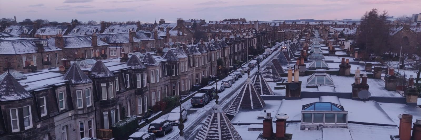 Mandy Williams banner