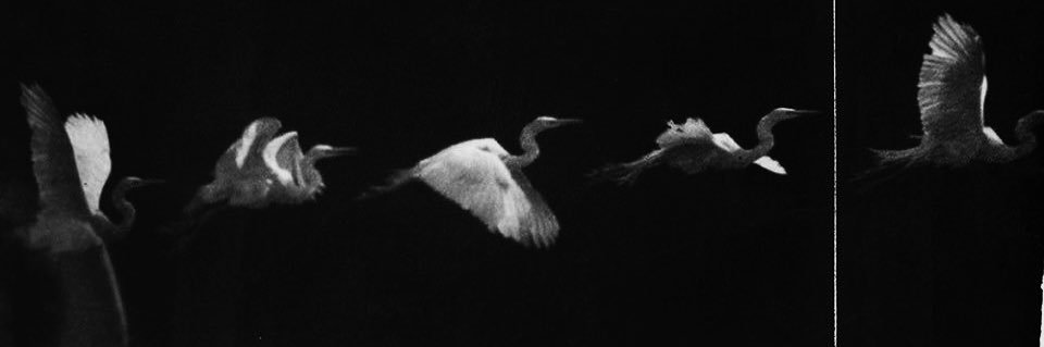 Solacetial's profile banner image
