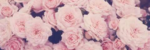 BarilaMarie's profile banner image