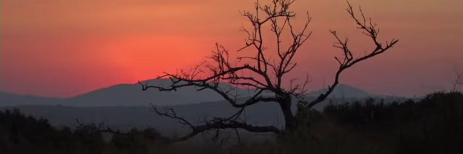 soeangel90's profile banner image