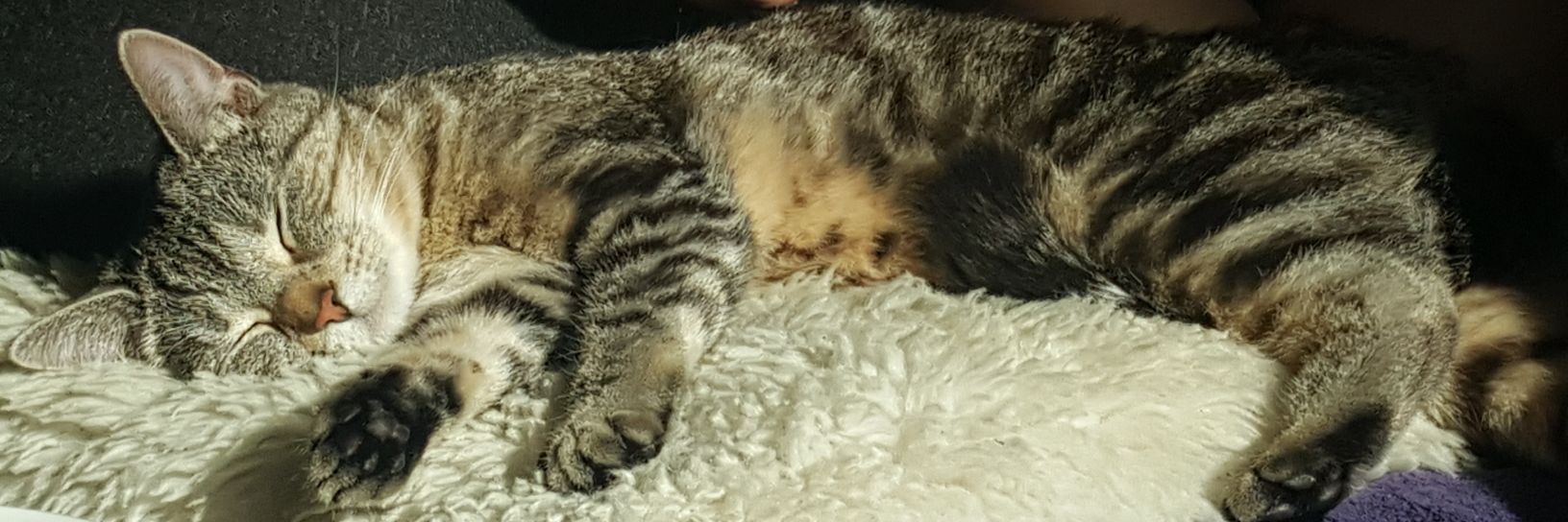 Just Misha things ✨️ find me on Bluesky ♥✨️ banner