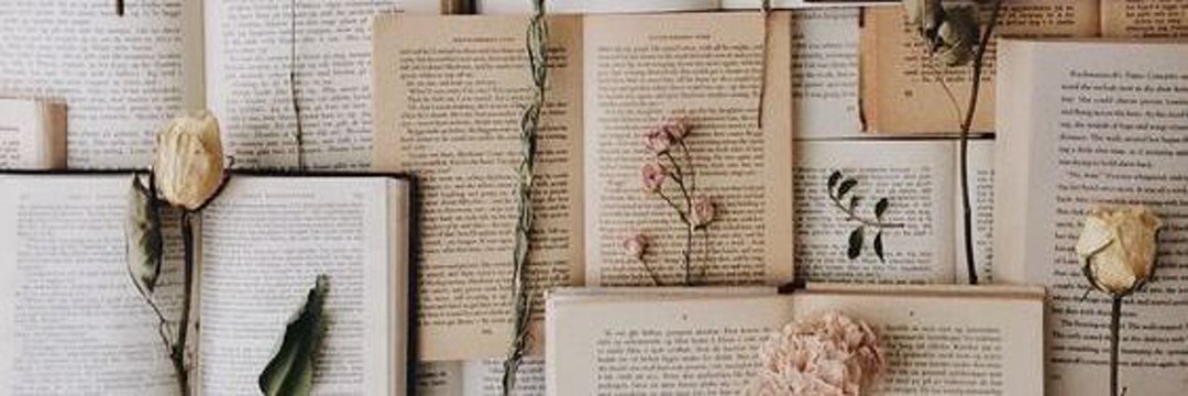 vittibook's profile banner image