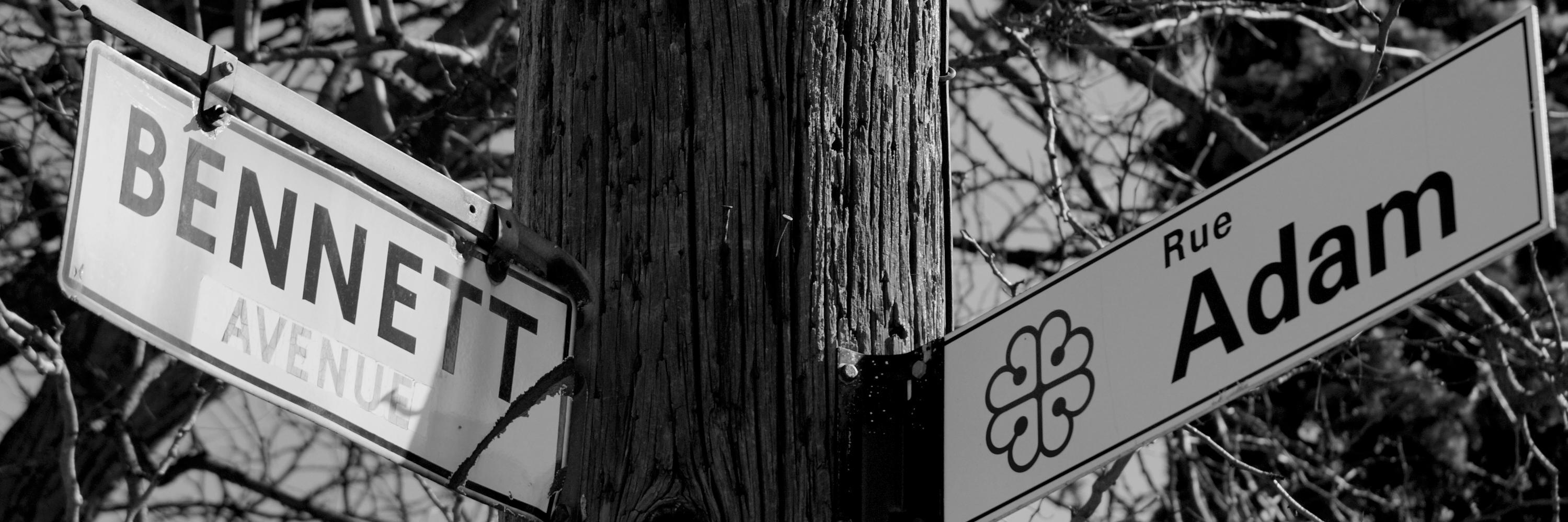 capstbarnabe's profile banner image