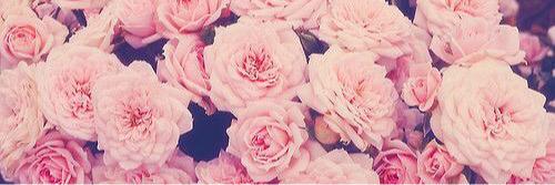 litbylilly's profile banner image