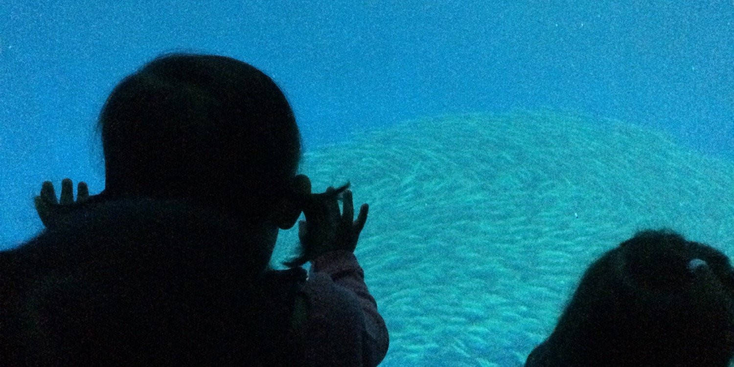 Merwan Rodriguez banner