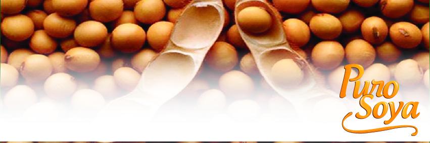 ACEITEPUROSOYA's profile banner image