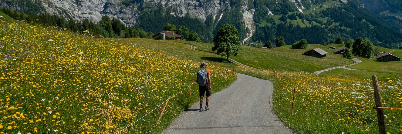 Daniel banner