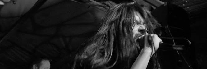 MaxxxNotDead's profile banner image