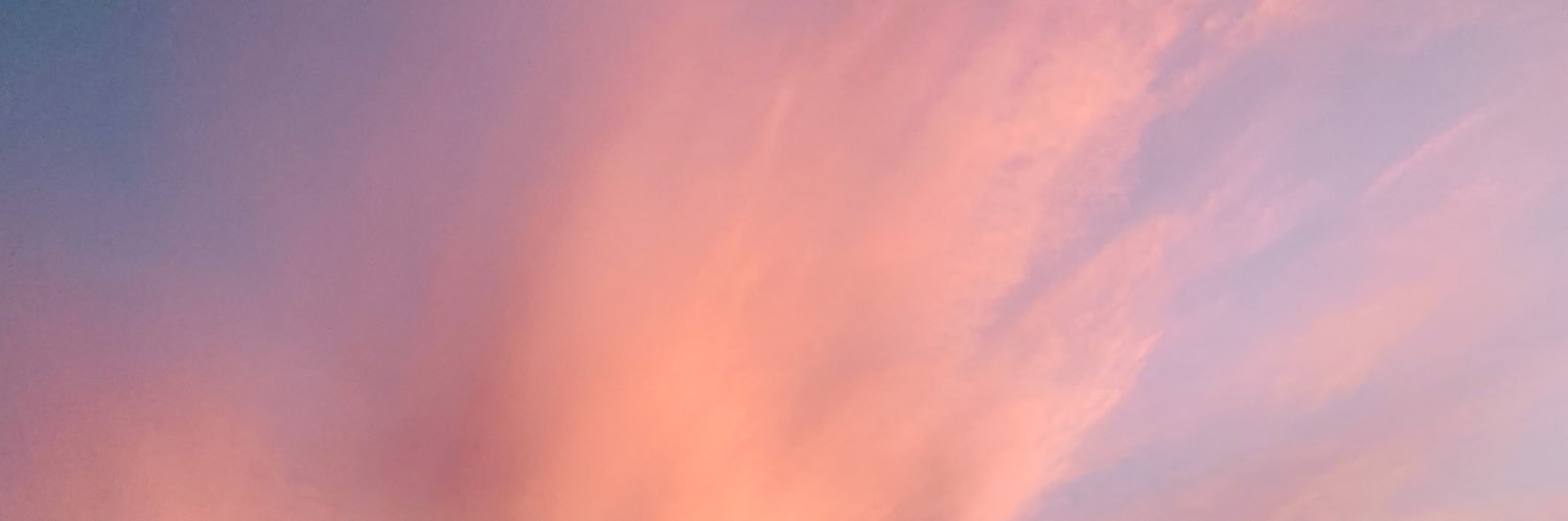 casefaceXOXO's profile banner image