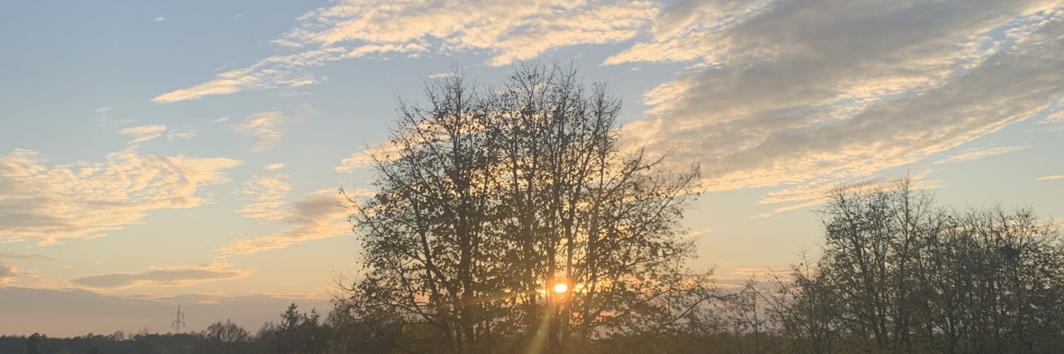 Seeringr_'s profile banner image